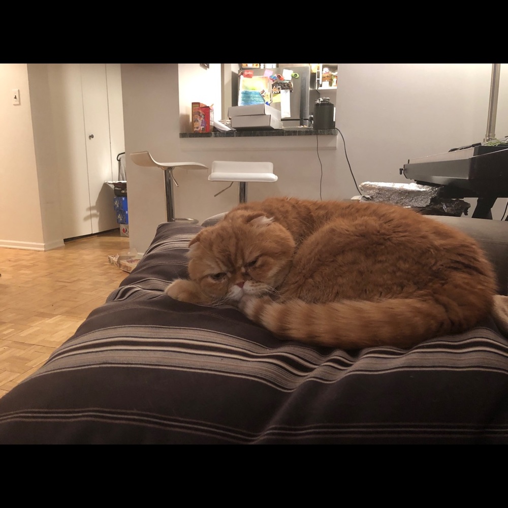 Meet your Posher, Julie